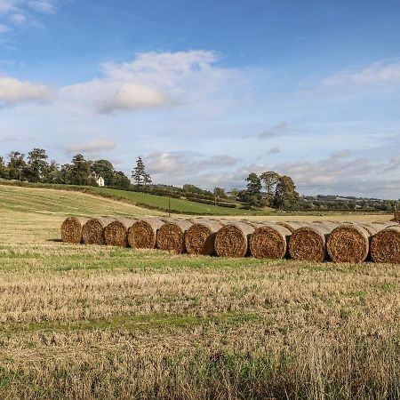 Bonjedward Mill Farm Cottage Jedburgh Exterior foto