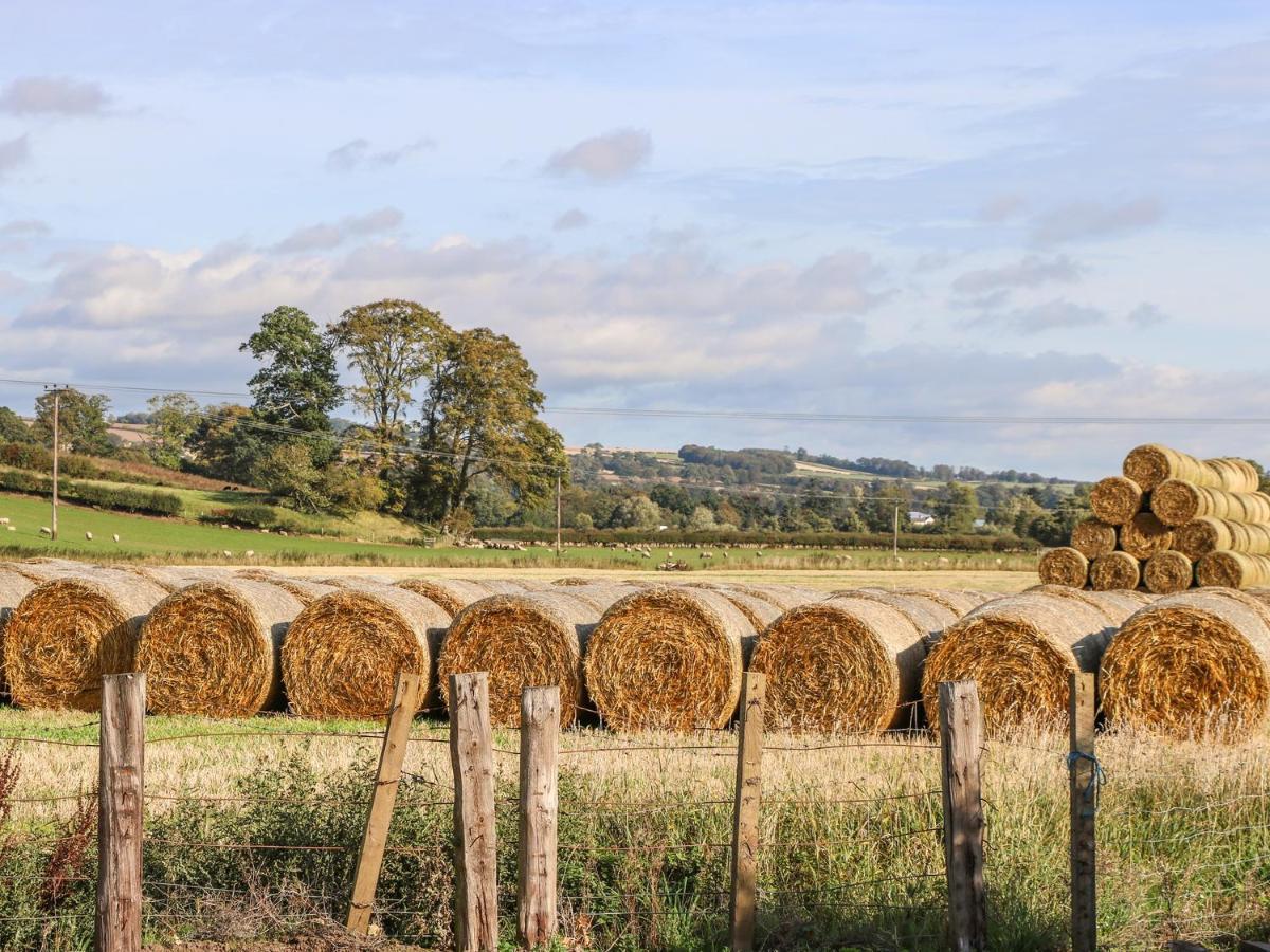Bonjedward Mill Farm Cottage Jedburgh Exterior foto